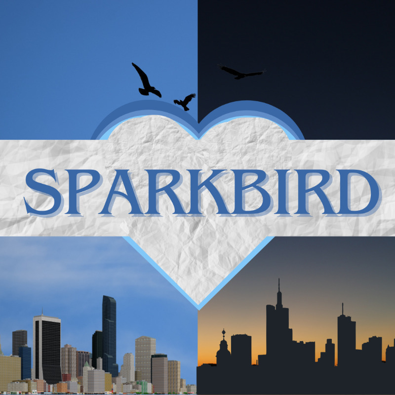 SPARKBIRD - Event image