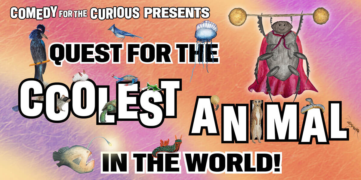 The Quest For The Coolest Animal In The World