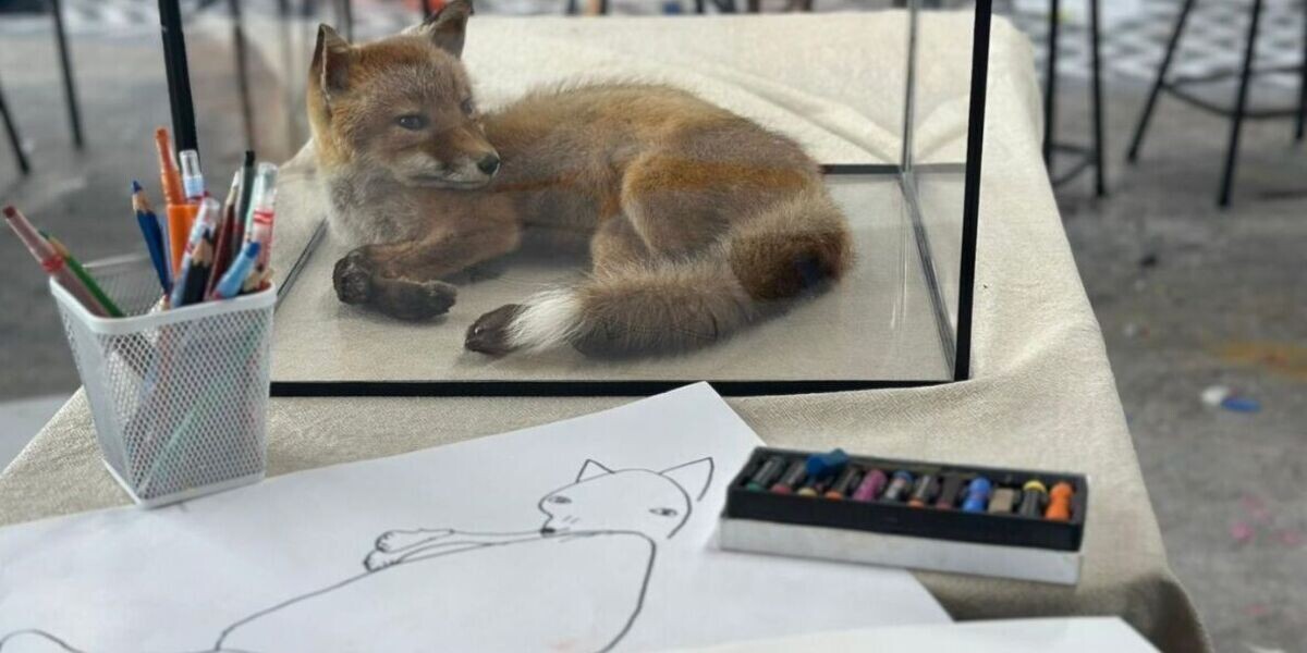 kids artwork from Fringe Beast Fun